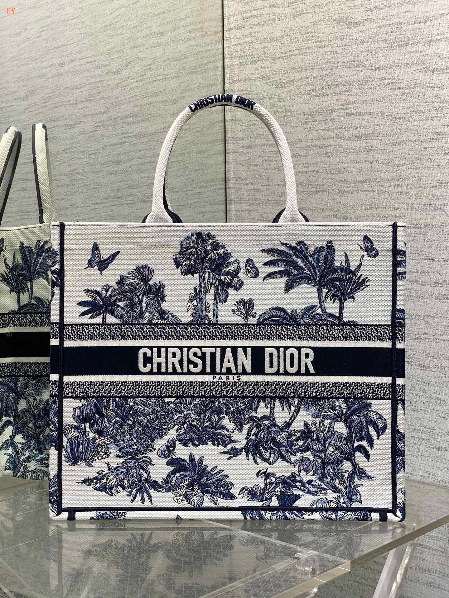 Dior Book Tote