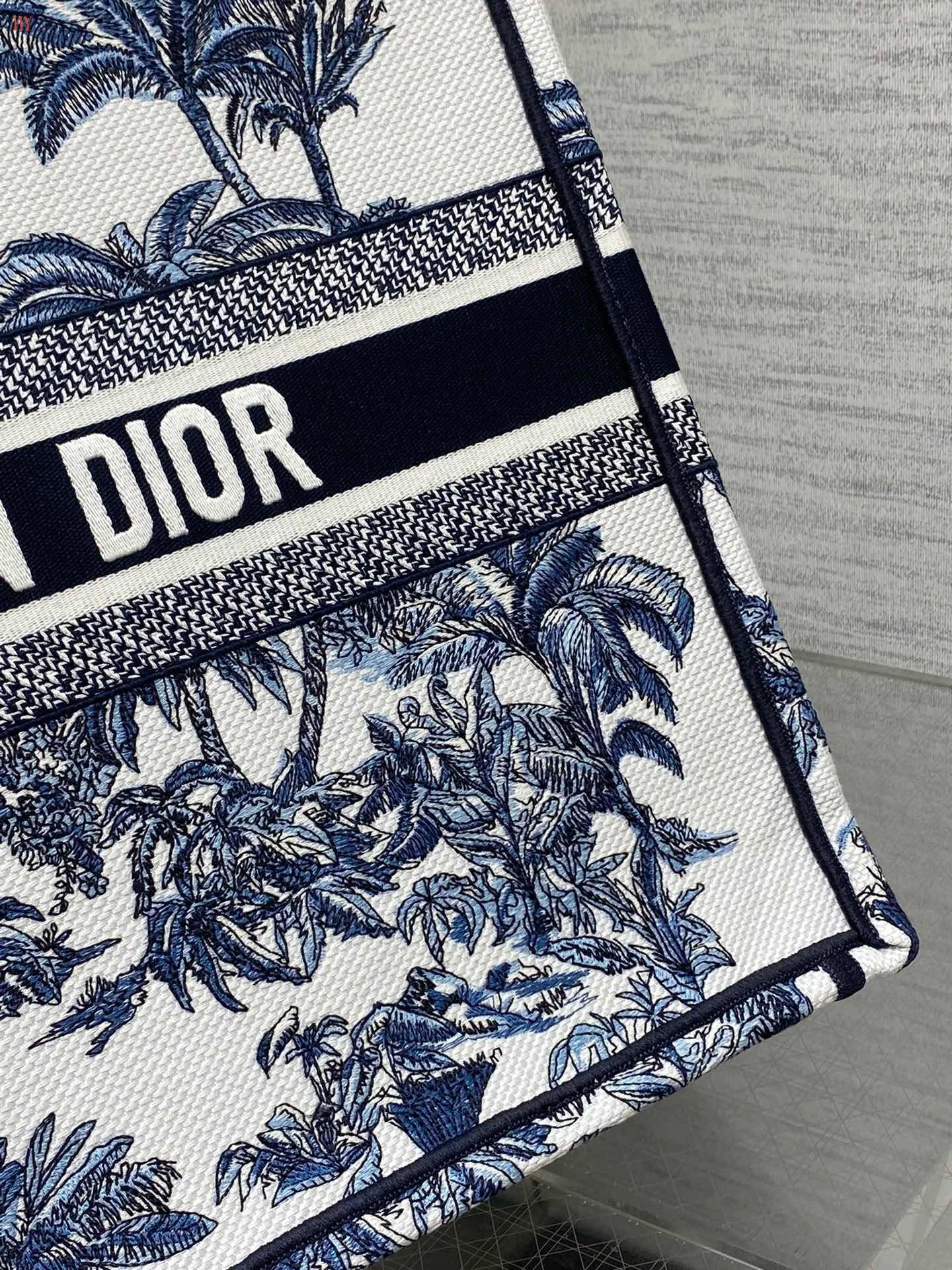 Dior Book Tote